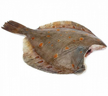 Камбала пятнистая Мурманская потрошеная без головы Фото Камбала пятнистая Мурманская потрошеная без головы