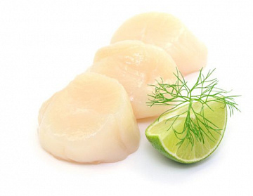 Фото Гребешок Сахалинский крупный филе (10/20)