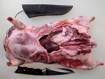 Нутрия тушка (3-5кг) Фото Нутрия тушка (3-5кг)