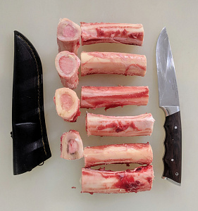 Превью Мозговая косточка европейского благородного оленя