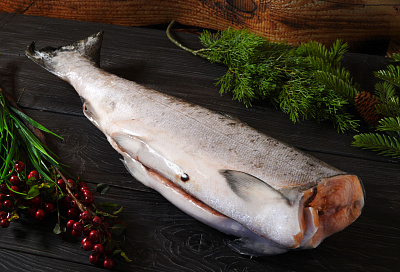 Превью Чавыча штучной заморозки потрошеная без головы 3-5 кг