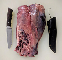 Лопатка европейского благородного оленя без кости