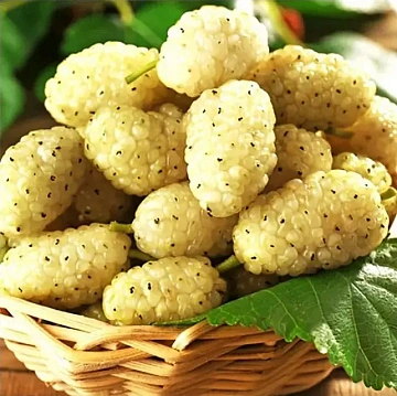 Фото Шелковица свежемороженая белая (коробка 10кг )