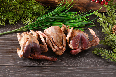 Превью Дикий вяхирь