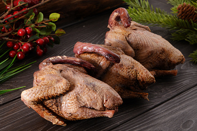 Превью Дикий вяхирь