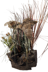 Превью Композиция перепела