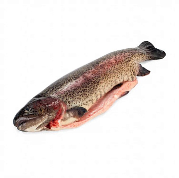Форель радужная свежемороженая потрошеная с головой 2+ кг Фото Форель радужная свежемороженая потрошеная с головой 2+ кг