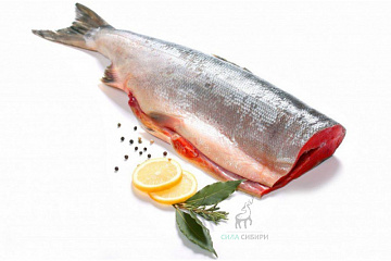 Горбуша дальневосточная без головы, потрошенная   Фото Горбуша дальневосточная без головы, потрошенная