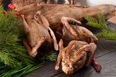 Превью Дикий вяхирь