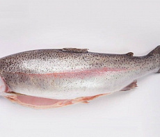 Форель радужная, потрошеная, без головы 2,7-4 кг, Тибет