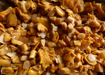 Грибы лисички замороженные (крошка) 300гр Фото Грибы лисички замороженные (крошка) 300гр